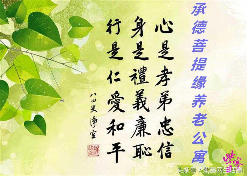 「紫塞」生活:承德菩提缘佛教养老公寓-佛教文化知识信仰好处！