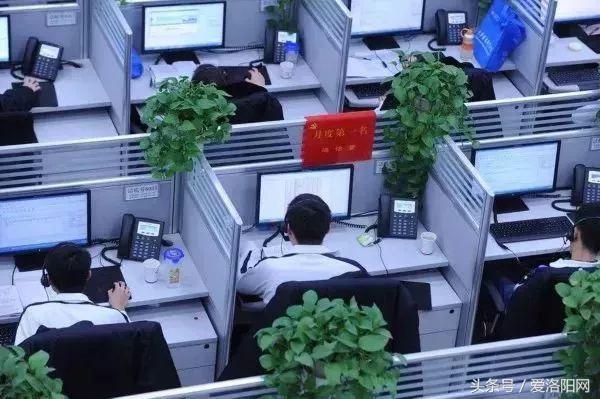 难以置信！洛阳平均工资6664元？竟然比郑州还高？