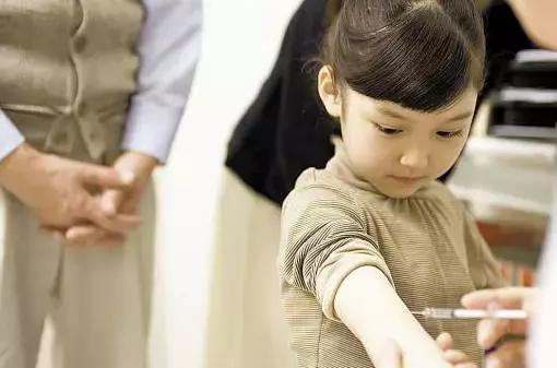 石家庄这些地方免费了,原来石家庄有这么多免费的地方