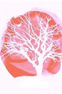 苏州杭州周末旅游,南京上海苏州杭州嘉兴旅游攻略