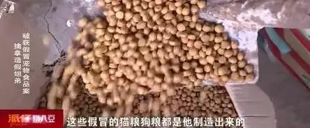 谁给你的勇气卖假药，3.15宠物行业也有血雨腥风