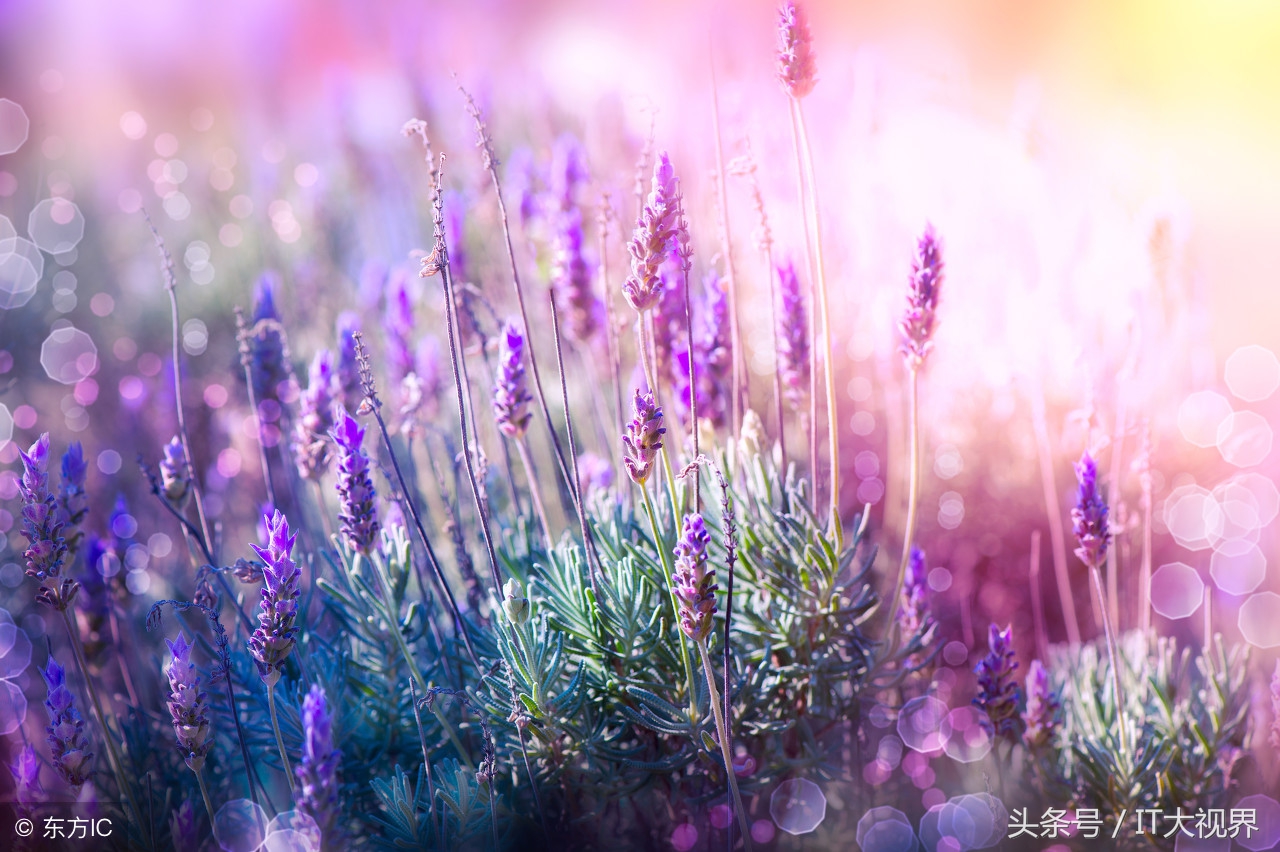 springmvc自定义配置404页面,springmvc资源拒绝访问