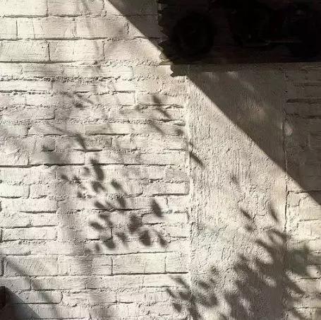 挚爱用来形容什么,挚爱还可以用什么表达