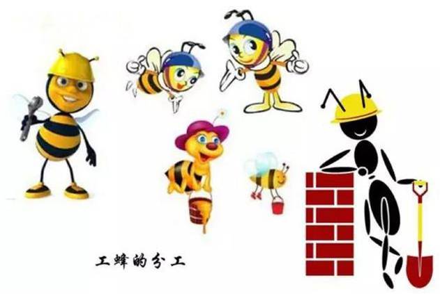 动物界的女儿国,动物世界国王和女儿