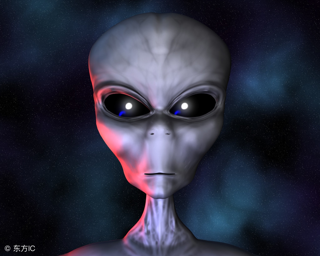 章鱼外形特征和运动方式,章鱼一种最接近地球外生命的生物