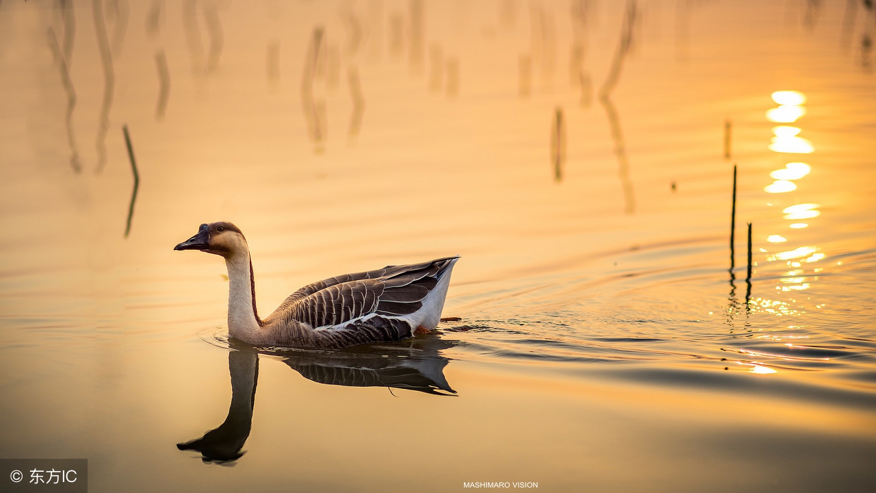 淡然相守相安无事,淡然相守不相离
