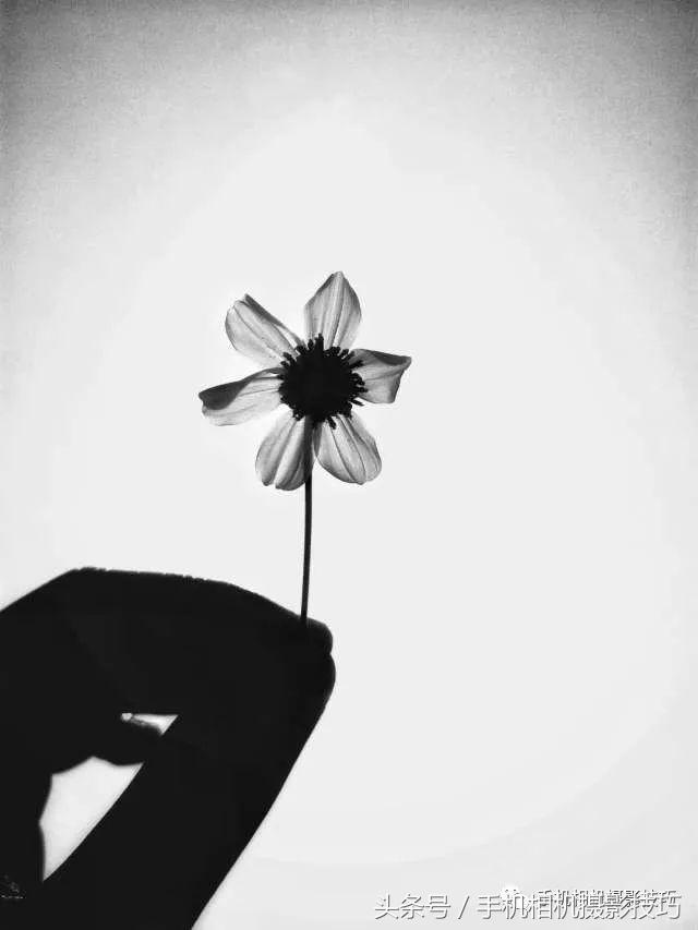 动动手指就能做出美丽的作品,动动手指头就能找到照片的乐趣