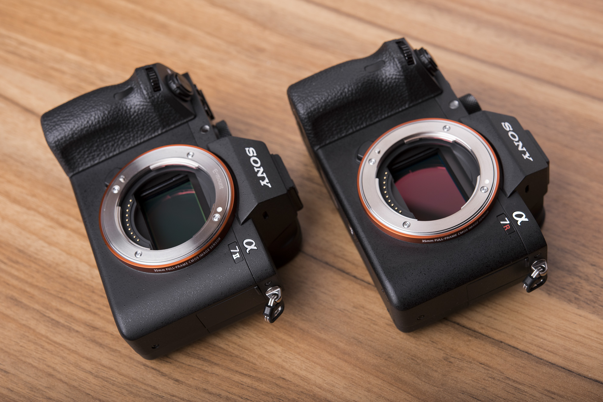 尼康d810换a7r2 (尼康d810与索尼a7r2对比)