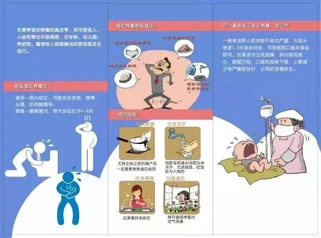 除四害消灭老鼠,治理四害老鼠