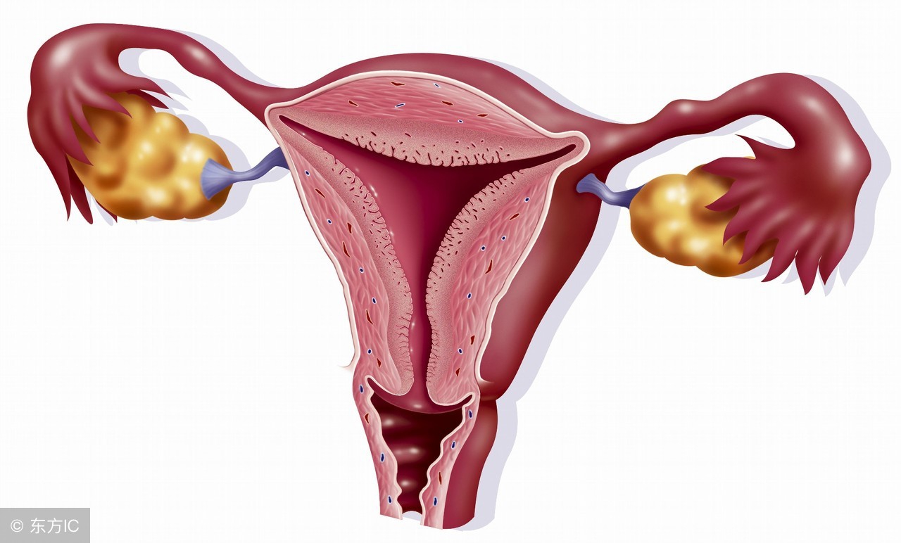 宫颈息肉手术后流血几天正常,宫颈息肉流血可以吃黄体酮止血吗