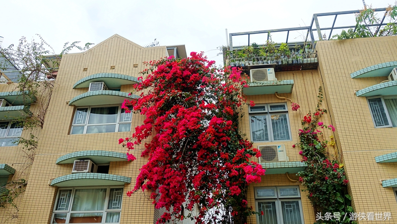 一岛三桥：宁静迷人的香港马湾岛眺望汀九青马汲水门大桥