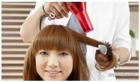 头发老是干枯分叉怎么办,头发老是分叉补什么