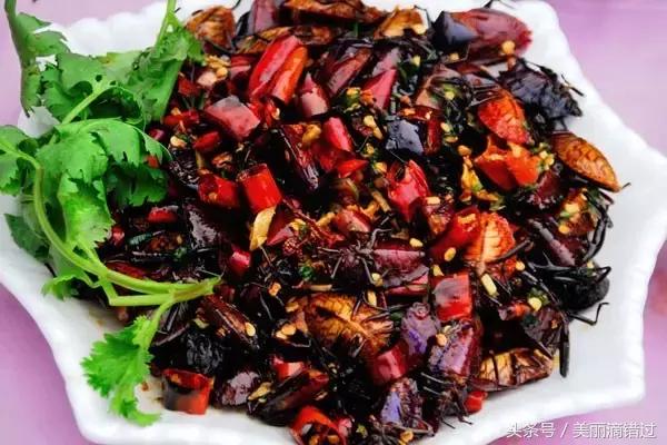 农村什么虫子有药用价值,农村臭屁虫特效药