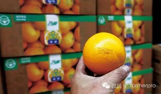 农产品如何微信裂变推广,农产品如何做线下推广方案