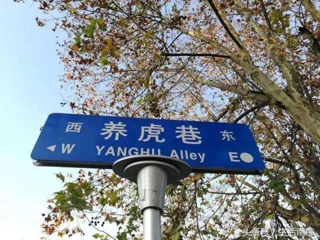 春天南京有哪些美景的地方,南京春天最值得去的地方