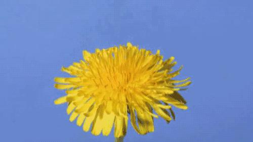 春天,与痔疮不得不说的故事~