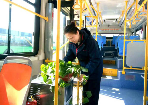 青岛公交活动,青岛公交宣传周活动