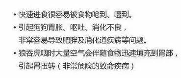 狗狗的这18种行为你真的懂了吗,狗狗的的几种行为不要弄错了