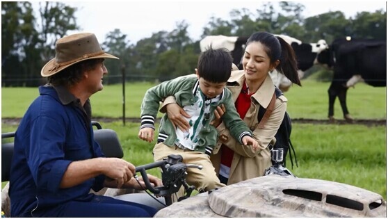 澳洲a2新款奶粉,澳洲牛奶a2官网