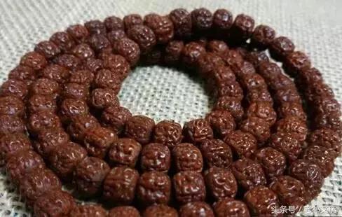 如何挑选小金刚菩提手串,小金刚菩提怎么盘玩