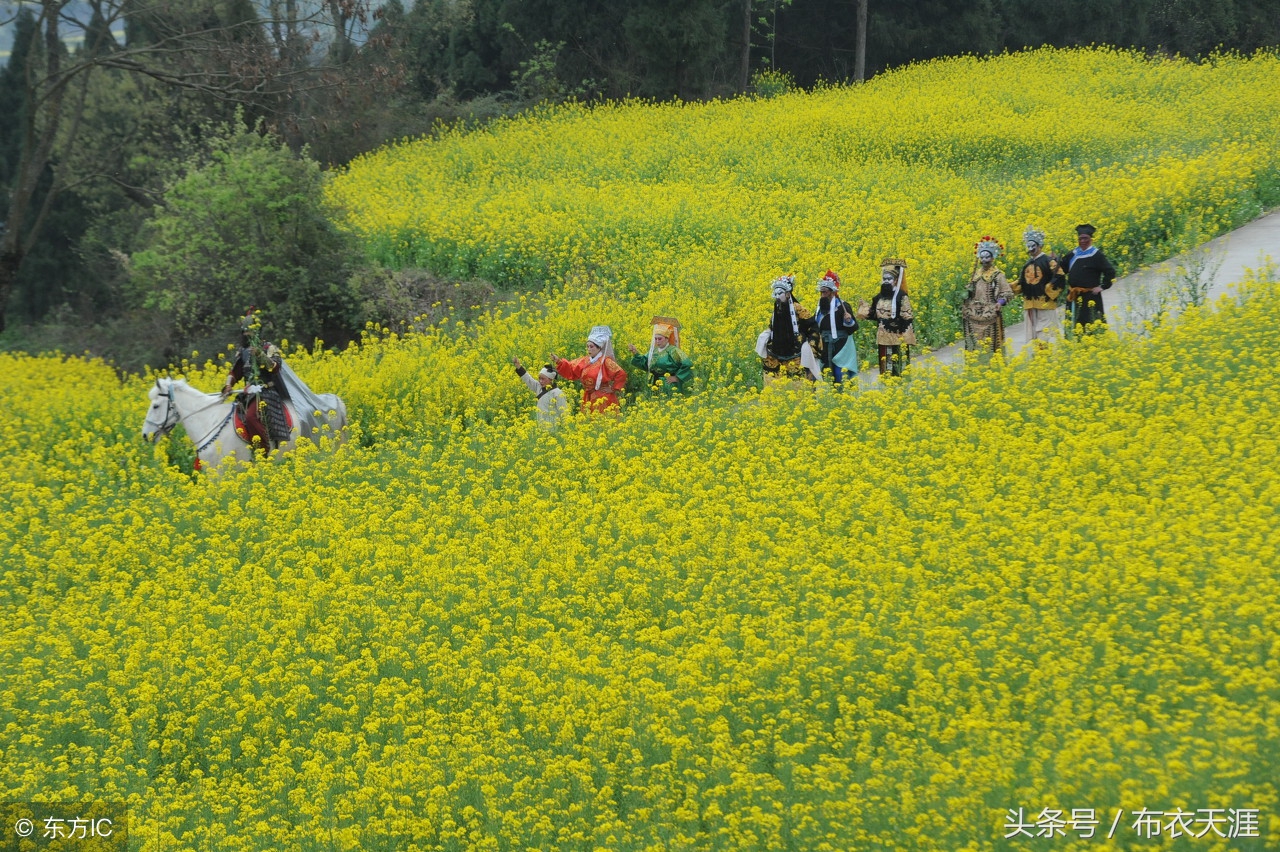 关于清明节的古诗词朗诵加舞蹈,清明节古诗词大全50首
