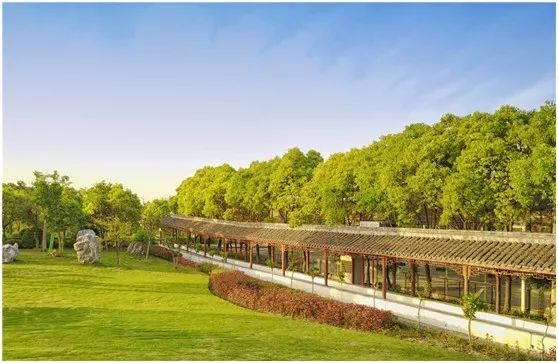 两家隐匿在迪士尼边的亲子度假庄园,采摘、烘焙,好的不得了!