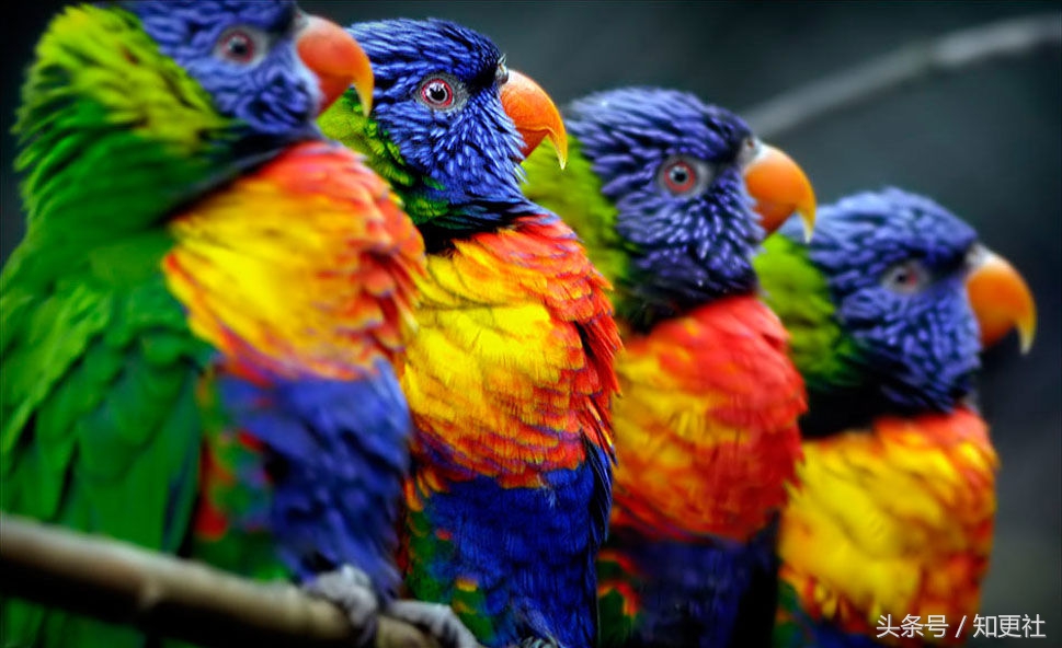 鐭ヨ瘑鐒﹁檻娣卞害鍒嗘瀽,鐭ヨ瘑鐒﹁檻