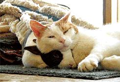 你不是挺有钱的吗，怎么活得这么low