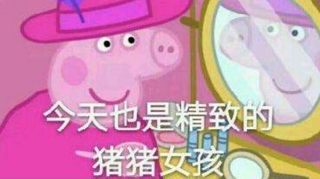 一只小猪猪在国外励志故事,小猪猪励志故事