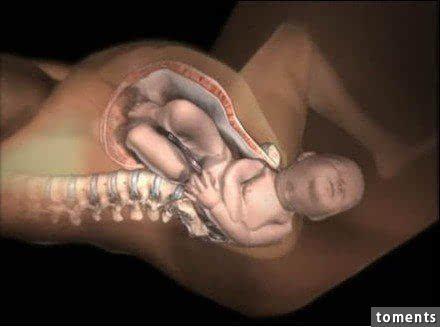 令人震撼!7张图看懂分娩过程,请珍惜那个为你生孩子的女人