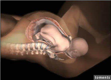 令人震撼!7张图看懂分娩过程,请珍惜那个为你生孩子的女人