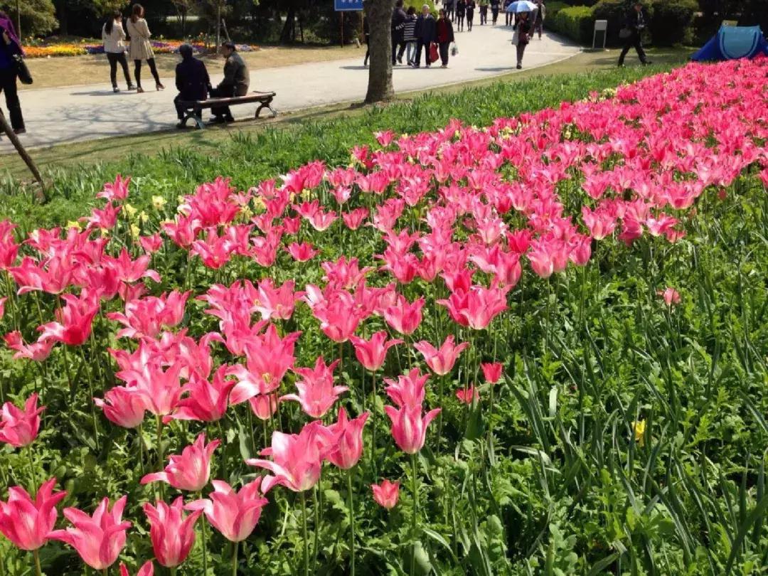 上海地铁全线路图和首末班时刻表,2019年上海地铁首末时间表