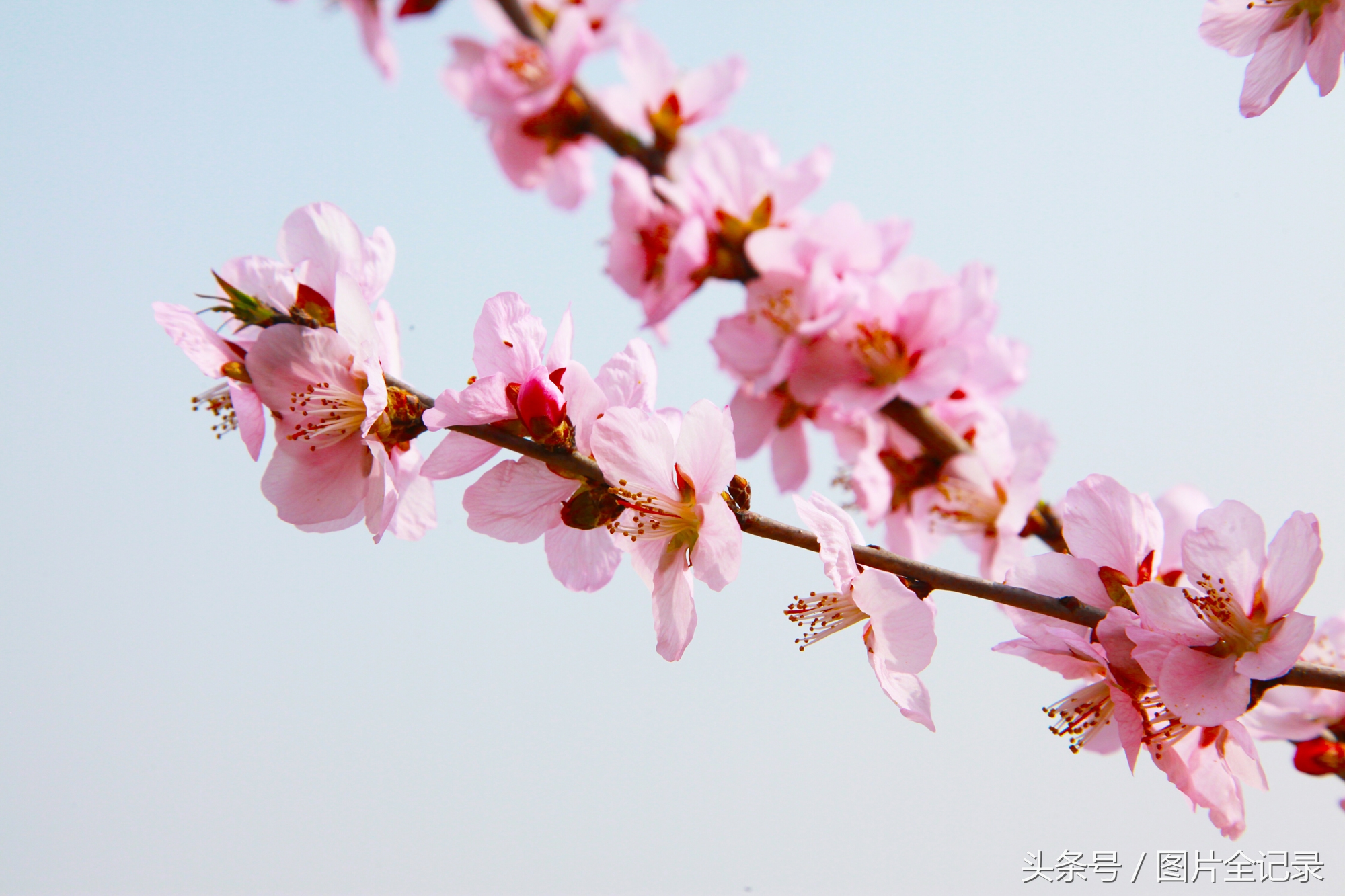 山西吉县人祖山景区,山西吉县人祖山介绍