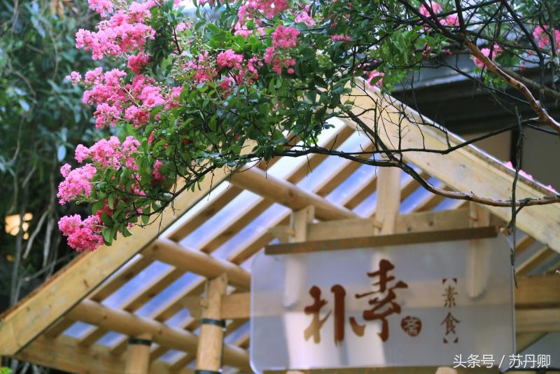 繁花宽窄巷子,宽窄巷子攻略和景点