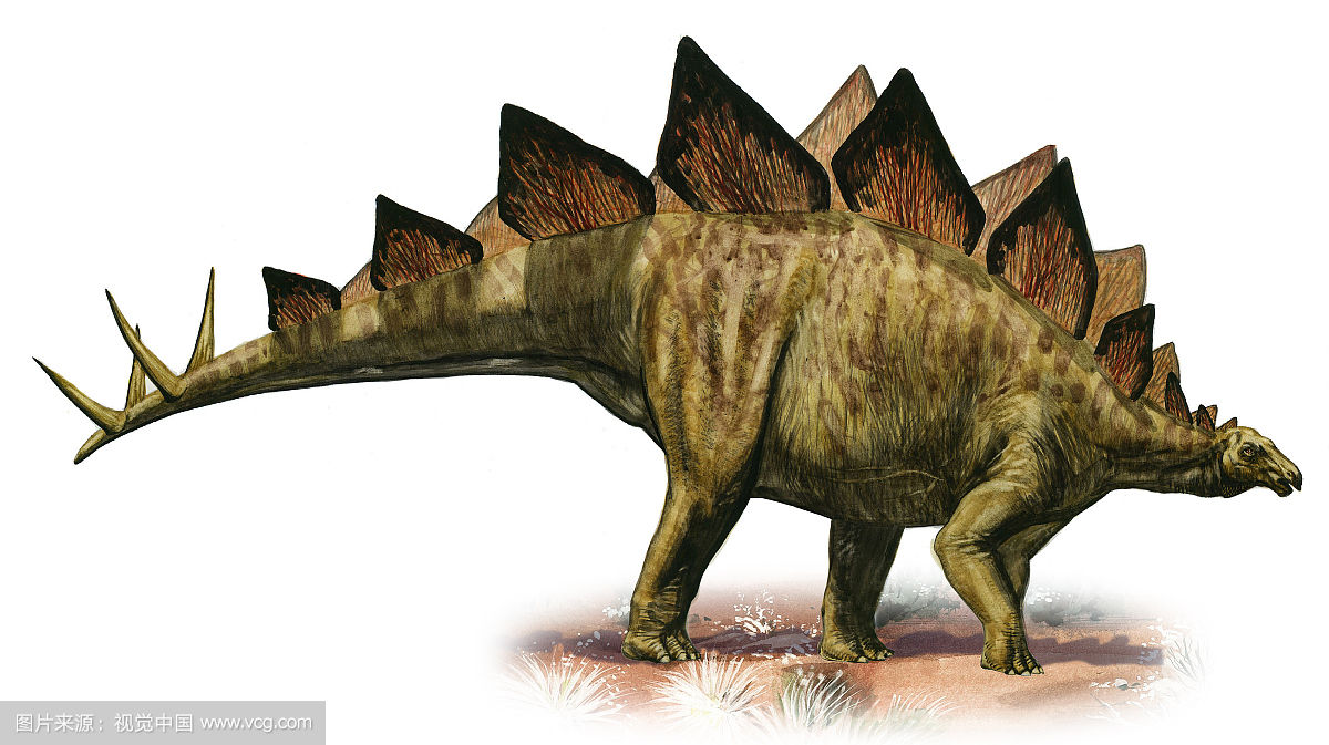 世界上最强的十名恐龙是什么恐龙,恐龙世界最强大的恐龙是什么恐龙