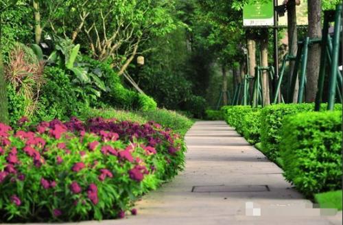 美得不像是实力派,美得不像真实风景