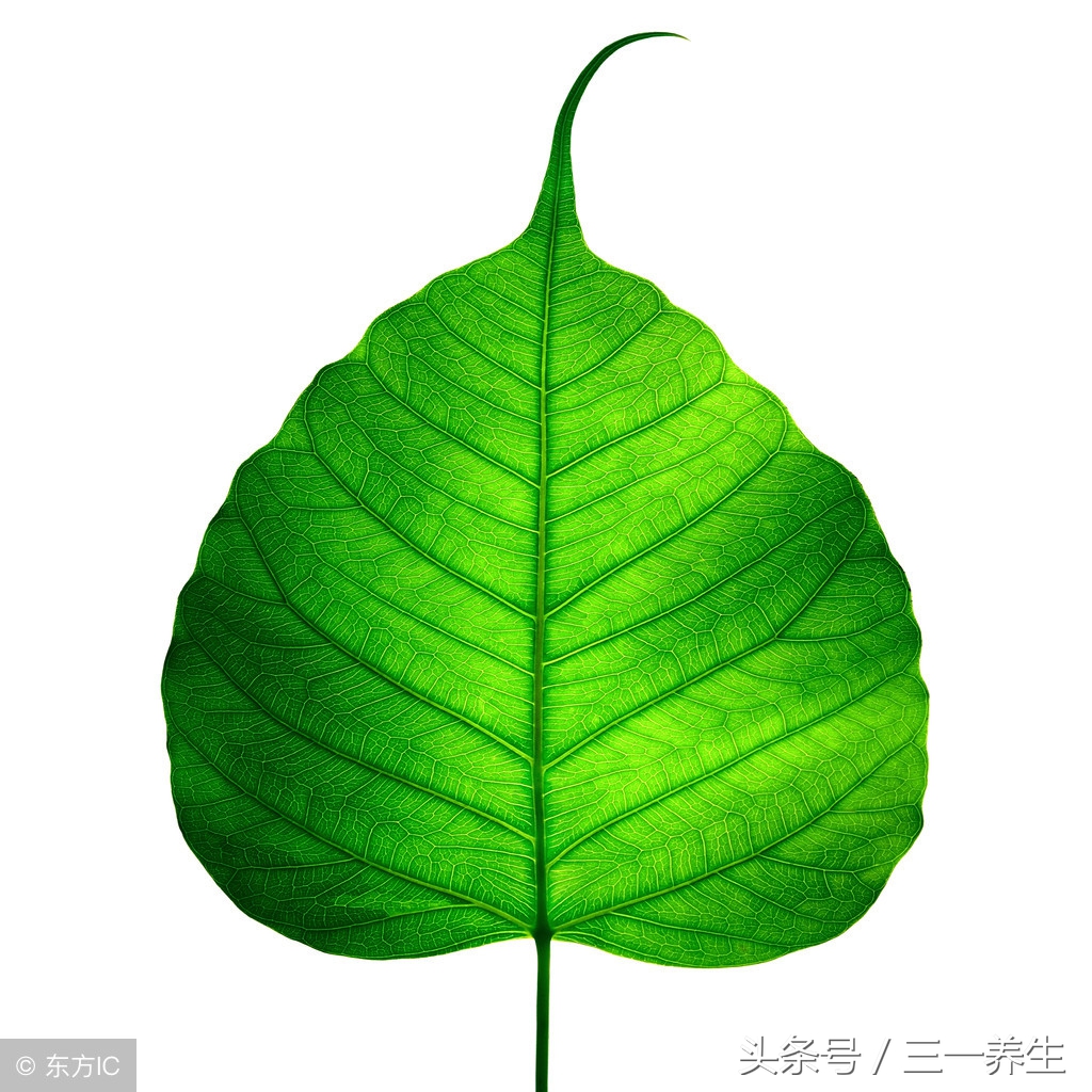 减肥不难三种方法来帮忙,怎么才能真正的减肥而且更有效