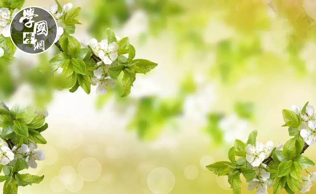 春分是踏青的好时节哪种花卉绽放,春分是深春吗