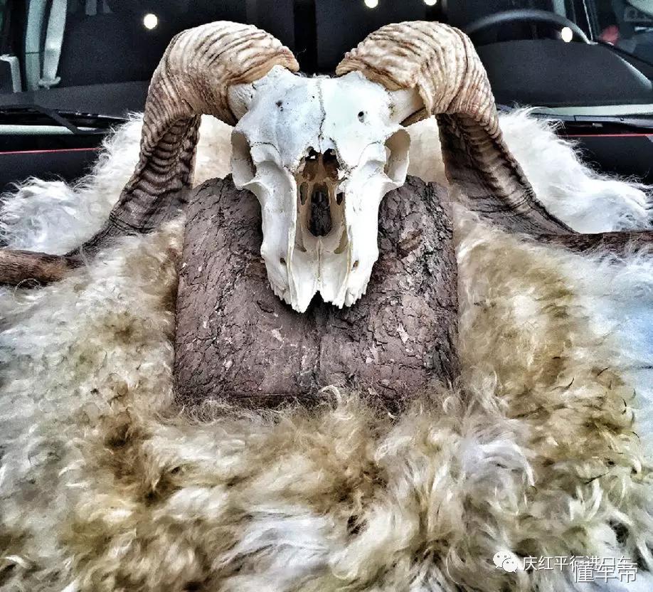 自吸发动机丰田坦途,比猛禽跟坦途还厉害的皮卡