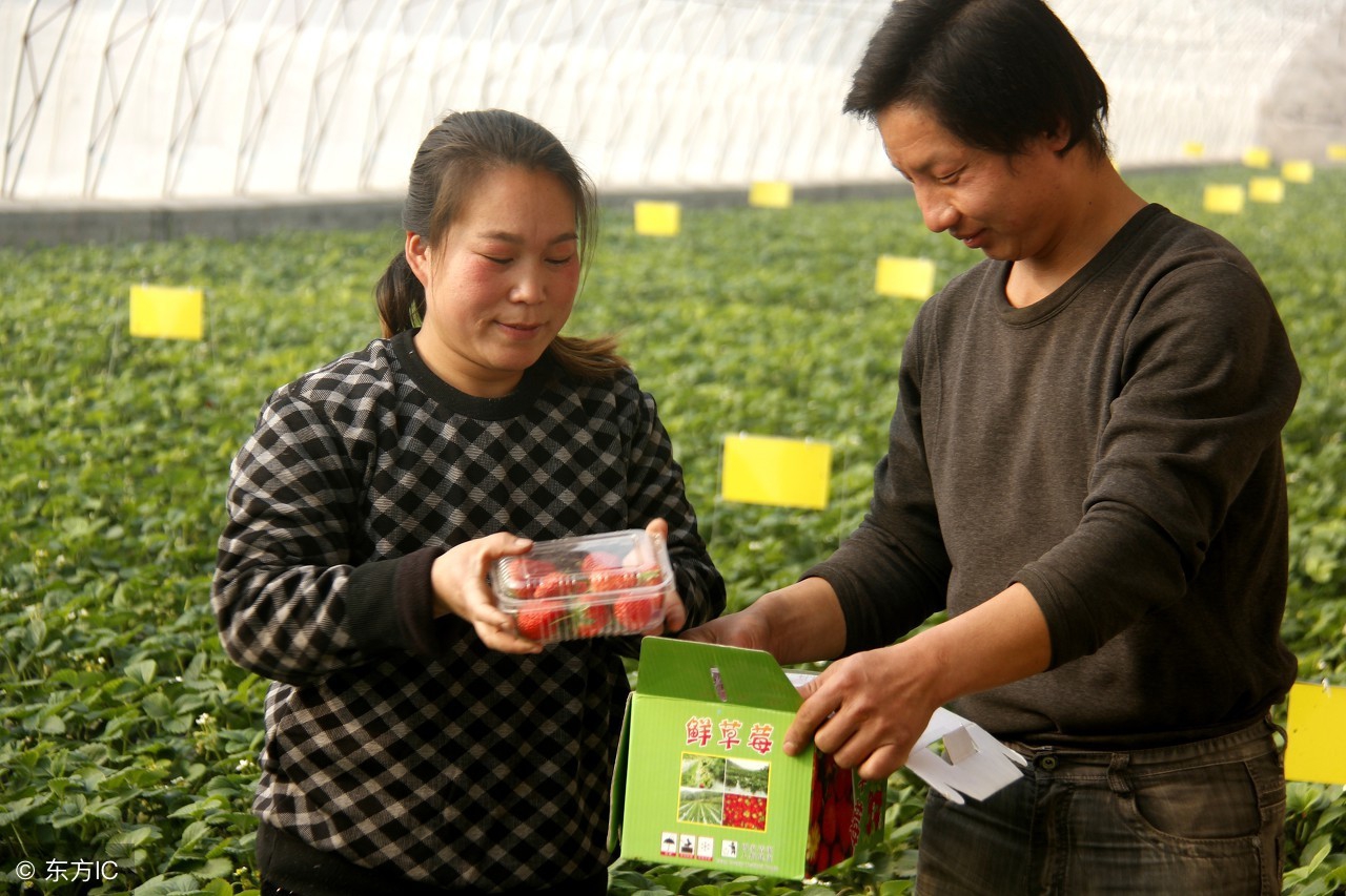 农村创业项目成功的两个必备条件,农民缺钱怎么办