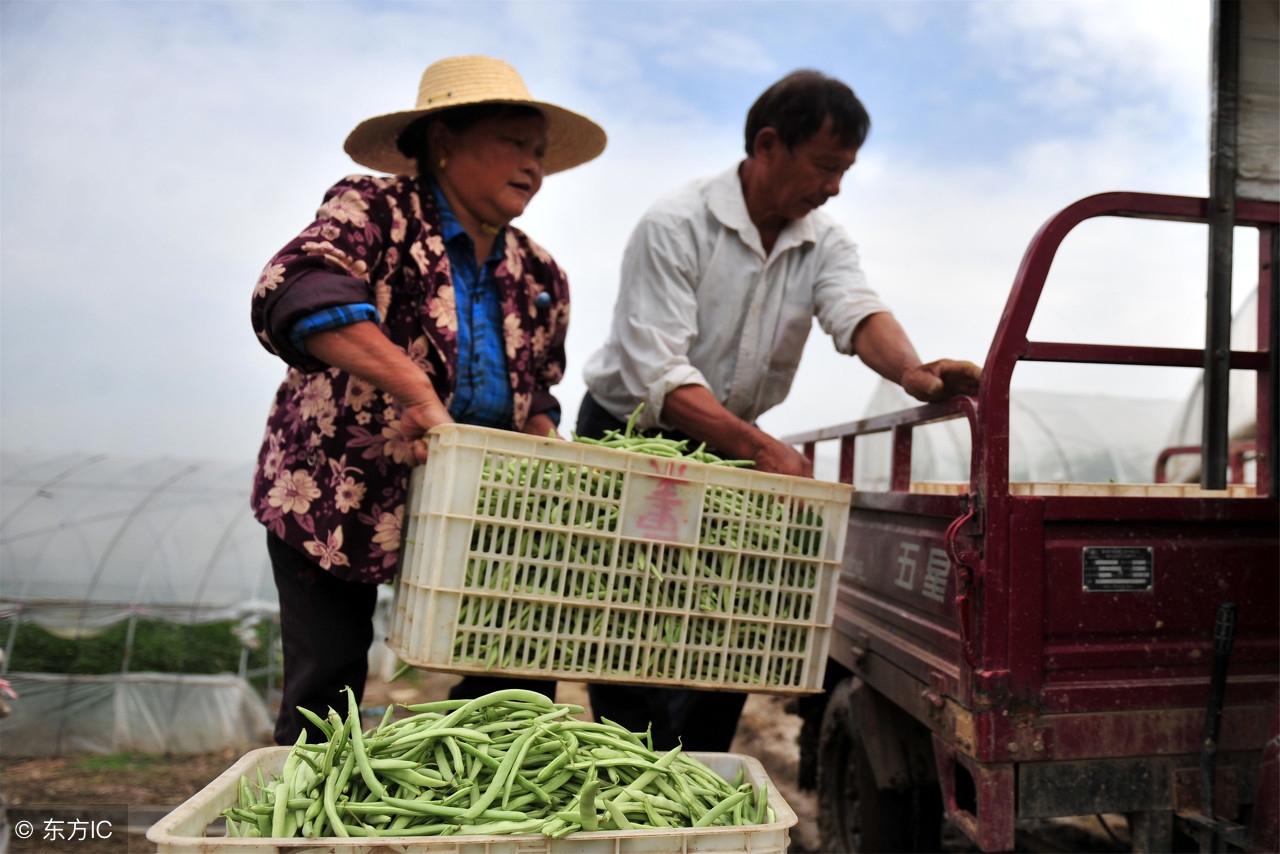 农村创业项目成功的两个必备条件,农民缺钱怎么办