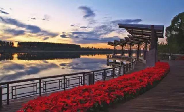 水映京城：千年古都水之梦