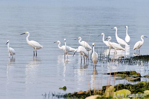 屯昌是海南最佳养老居住之地,海南保亭适合养老吗