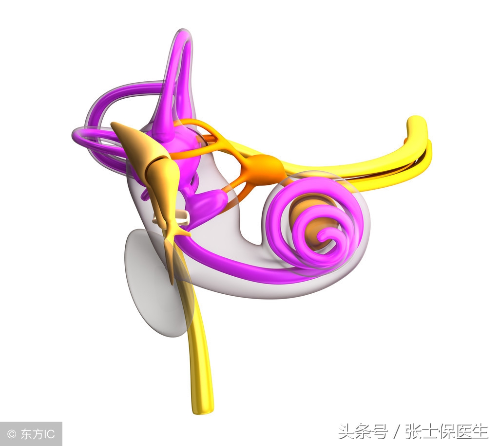 前庭神经炎眩晕症状表现,眩晕症前庭神经炎偏方