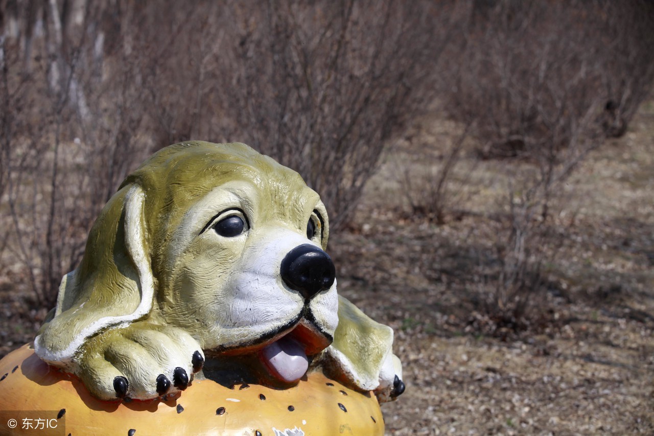 去英国为什么要带伞,英国出行需要注意什么