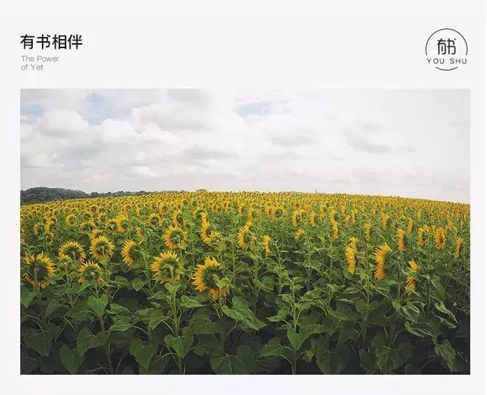 早晚都要死去的人生意义,既然人要死去那活着的意义是什么