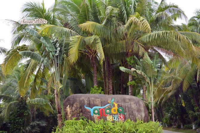 相约海之南歌曲,浪漫走天涯相约海之南