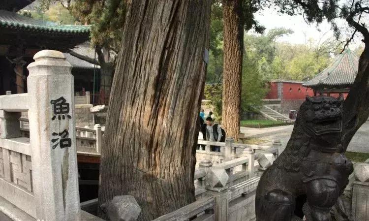 山旅太原，第一站，晋源区——晋祠