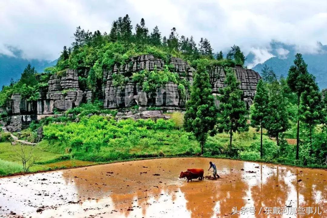 清明小长假旅游推荐,清明假期适合1-2天短途旅游