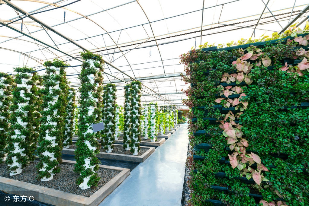 2018创业好项目小生意,小本买卖创业点子怎么写